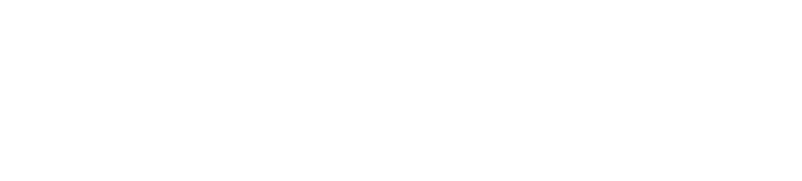 TINISOFT logo